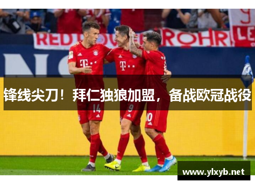 锋线尖刀！拜仁独狼加盟，备战欧冠战役